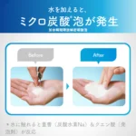 suisai2
