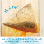 lipton-1