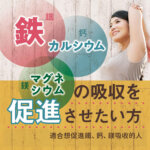 orihiro1