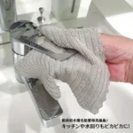 cleancloth1
