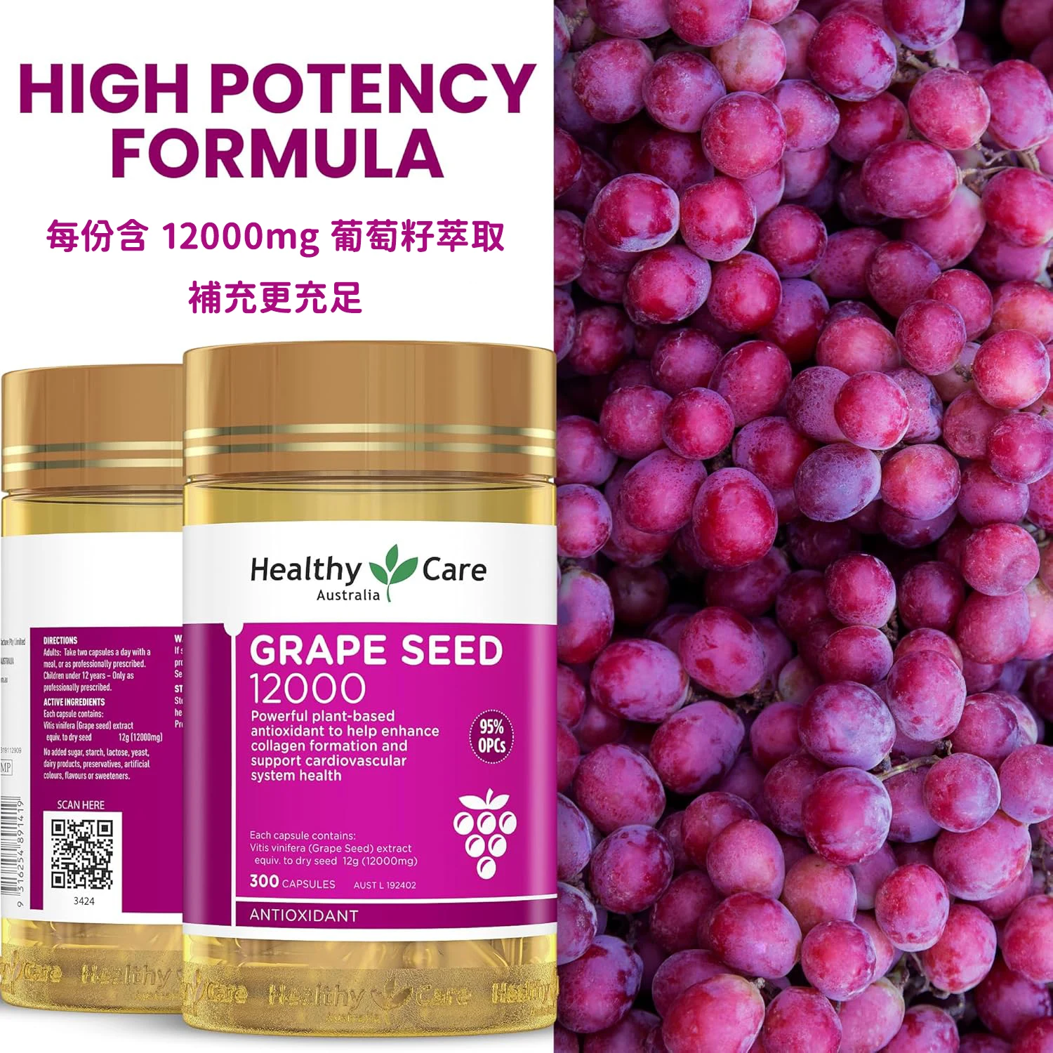 grape12000-2