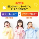 pokemonhamigaki-1