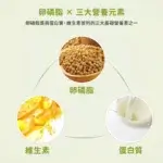 lecithin1