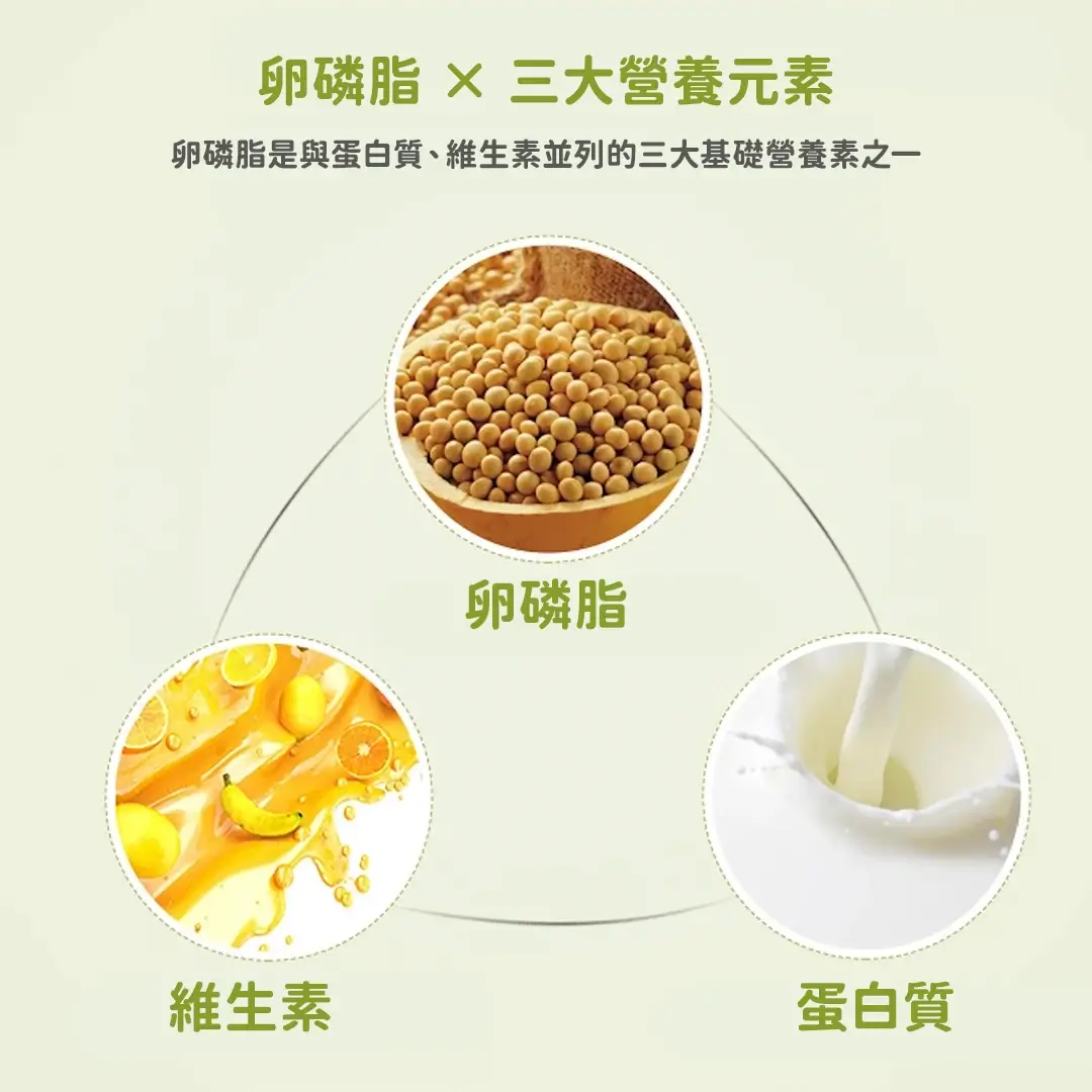 lecithin4