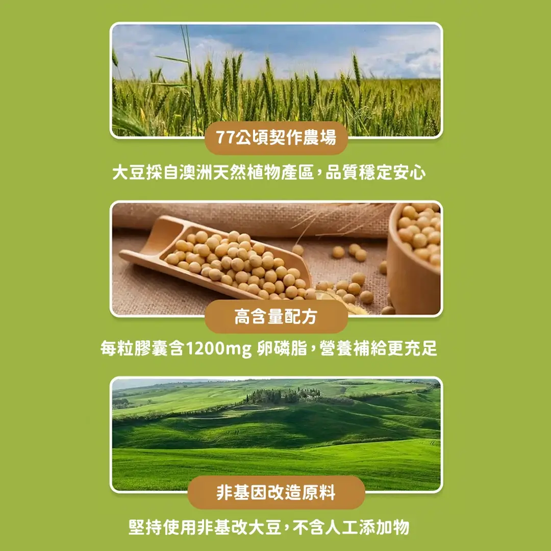lecithin5