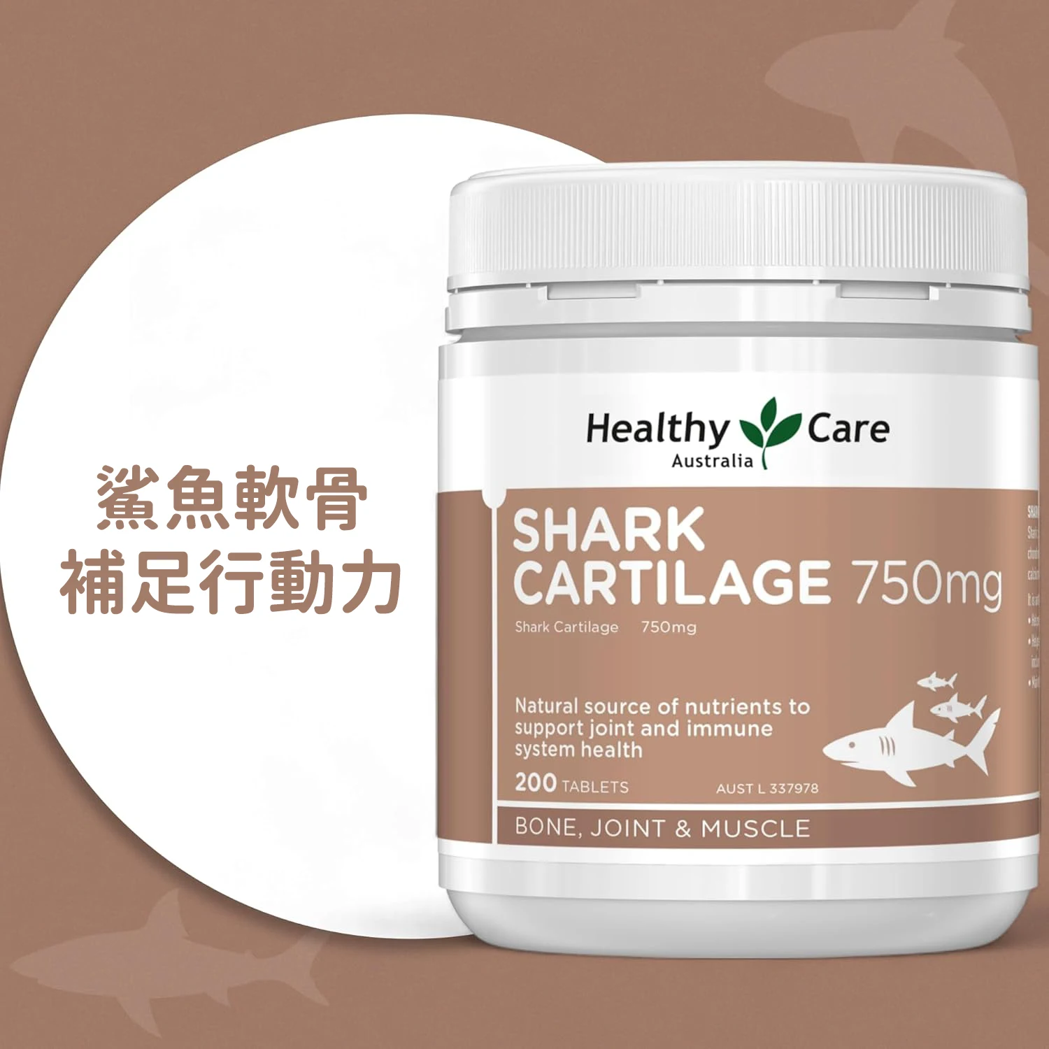 shark1